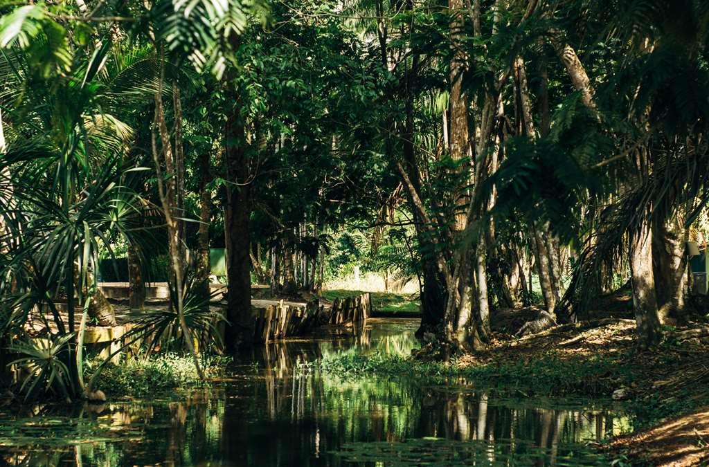 Overbridge River Resort Paramaribo Exteriör bild